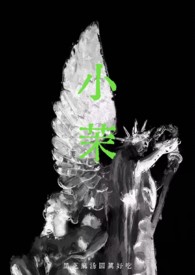 小茉(年代 强制)