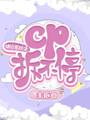 �촩ϵͳ֮cp��ͣ