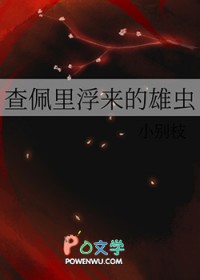 �����︡�����۳�